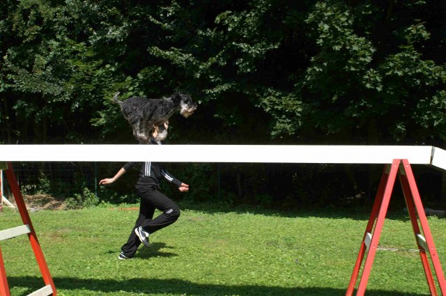 agility 2011-07-24